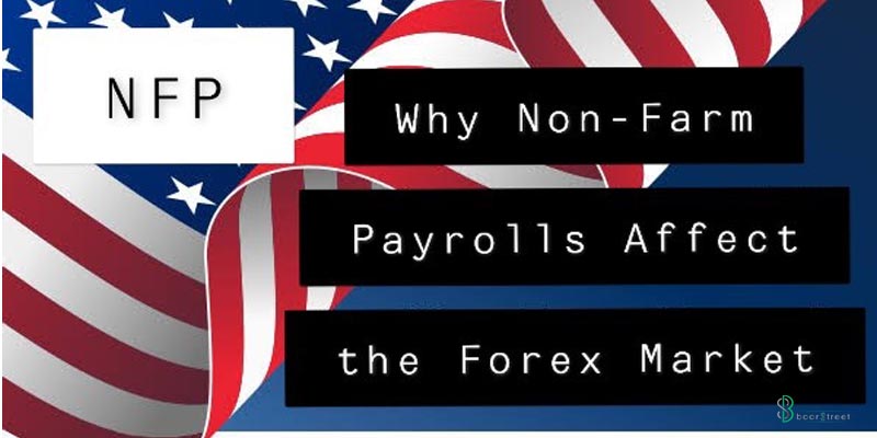 تاثیر گزارش اشتغال بخش غیرکشاورزی و غیر دولتی آمریکا (NFP) بر معاملات بازار فارکس