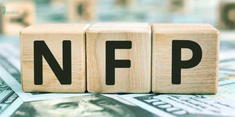 NFP چیست؟ | تاثیر NFP بر معاملات فارکس